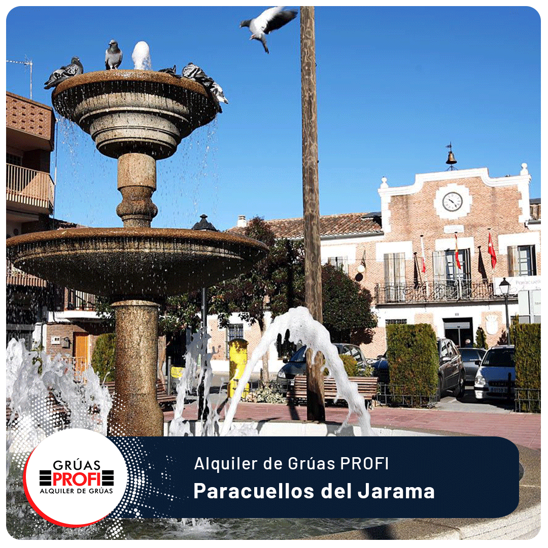 Alquiler-de-grúas-en-Paracuellos-de-Jarama-para-todo-tipo Alquiler de gruas en Paracuellos de Jarama para todo tipo